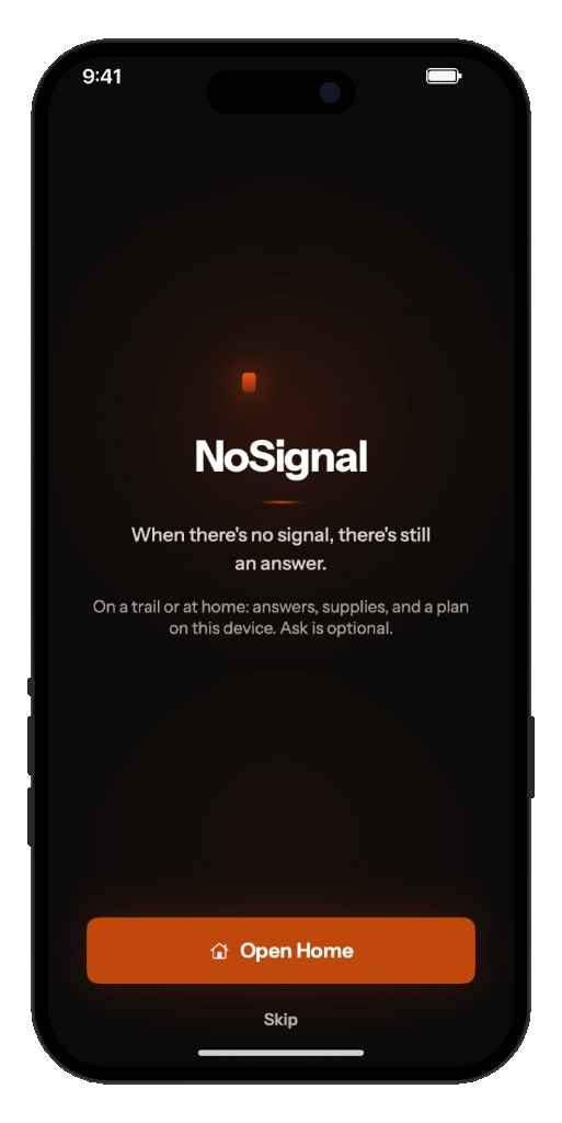 NoSignal first-open screen. When there's no signal, there's still an answer.